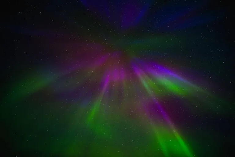 What Bronwin Aurora reveals about user curiosity online
